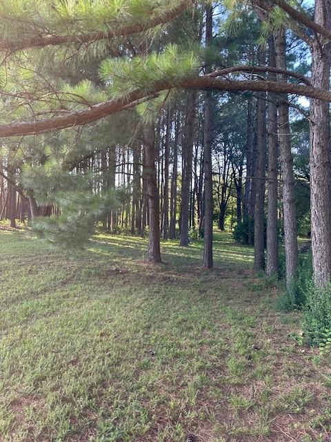 1400 Shankles Rd, Gentry, AR 72734 - photo 36