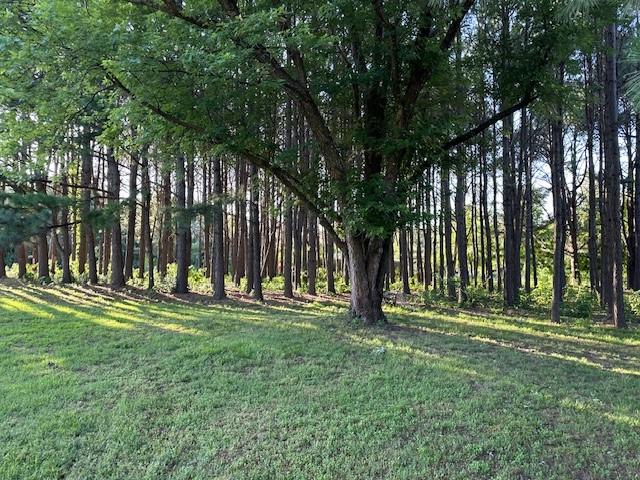 1400 Shankles Rd, Gentry, AR 72734 - photo 37