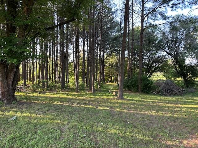 1400 Shankles Rd, Gentry, AR 72734 - photo 8