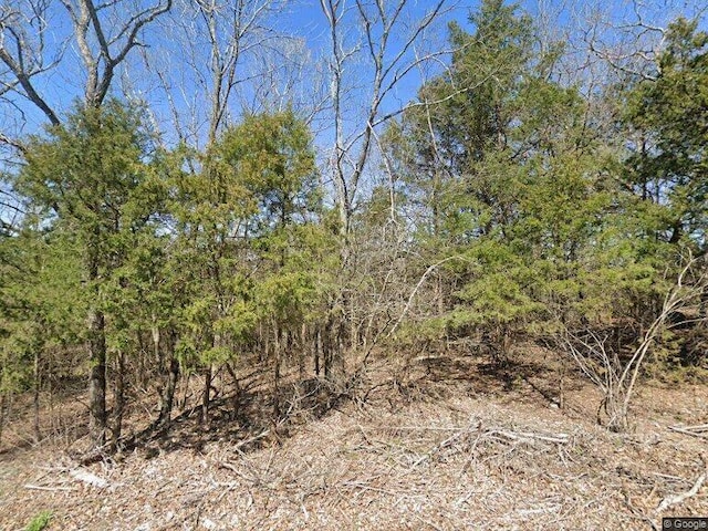 5 Suntop Ln, Holiday Island, AR 72631 - photo 1
