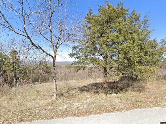 7 Suntop Ln, Holiday Island, AR 72631 - photo 1