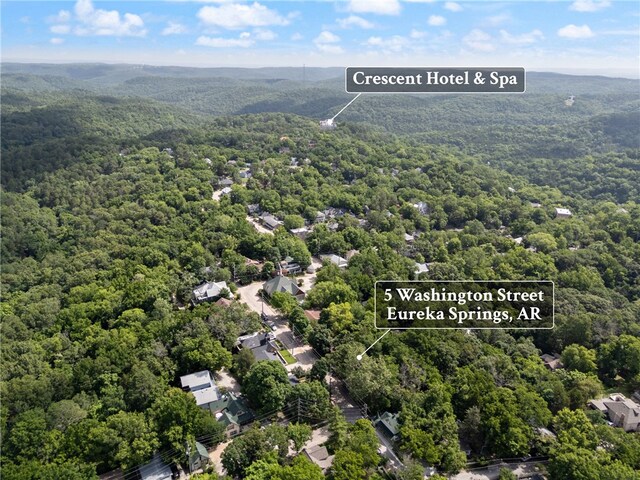 5 Washington St, Eureka Springs, AR 72632 - photo 5