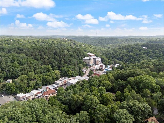 5 Washington St, Eureka Springs, AR 72632 - photo 6