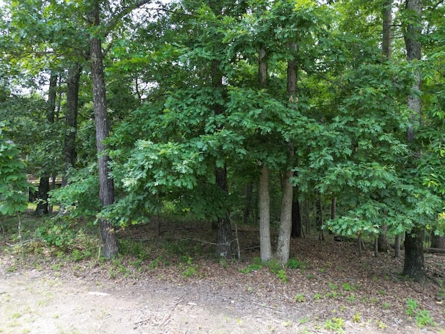 Reighton Dr, Bella Vista, AR 72714
