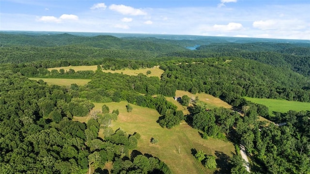 15624 Roberts Loop, Garfield, AR 72732