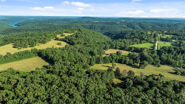 15624 Roberts Loop, Garfield, AR 72732