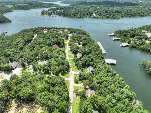 22562 Air Park, Golden, MO 65658 - aerial overview of property's location featuring a large body of water and a forest