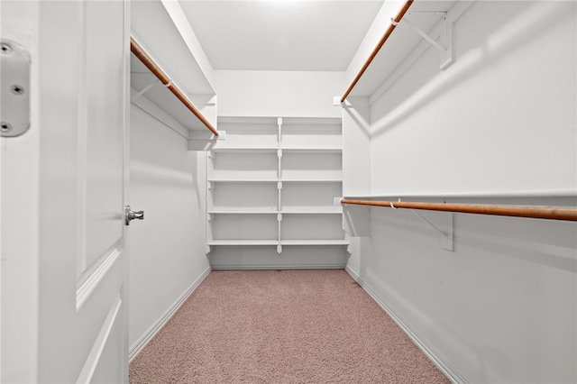3321 E Cadberry Ter, Fayetteville, AR 72701 - walk in closet with carpet flooring