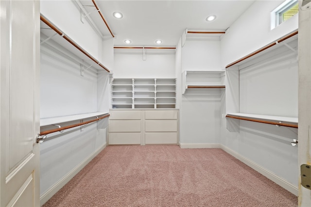 3321 E Cadberry Ter, Fayetteville, AR 72701 - spacious closet featuring light colored carpet