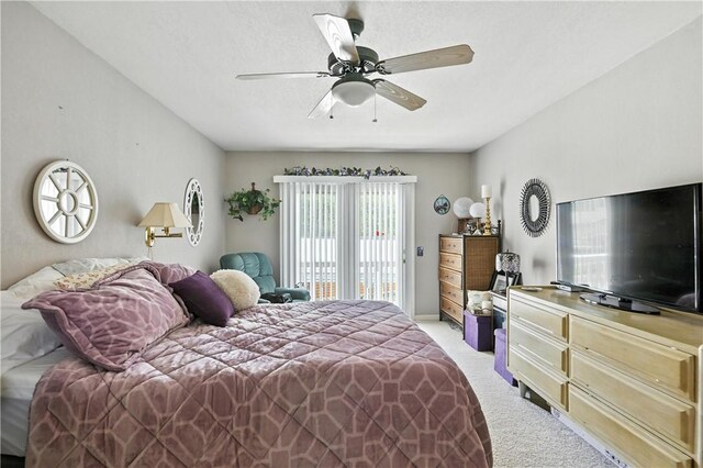 28136 Lone Pne, Eagle Rock, MO 65641 - photo 32