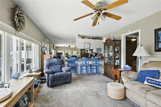 28136 Lone Pne, Eagle Rock, MO 65641 - photo 23
