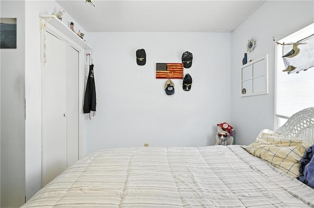 28136 Lone Pne, Eagle Rock, MO 65641 - photo 26