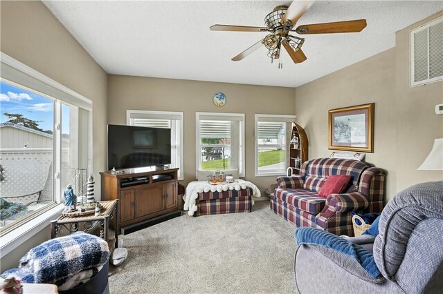 28136 Lone Pne, Eagle Rock, MO 65641 - photo 7