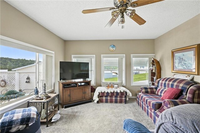 28136 Lone Pne, Eagle Rock, MO 65641 - photo 8