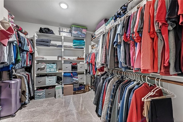 477 Caballo St, Farmington, AR 72730 - spacious closet featuring carpet floors