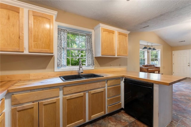17 Pivot Rock Rd Unit 5, Eureka Springs, AR 72632 - kitchen featuring butcher block countertops, black dishwasher, dark stone finish floors, a peninsula, and healthy amount of natural light