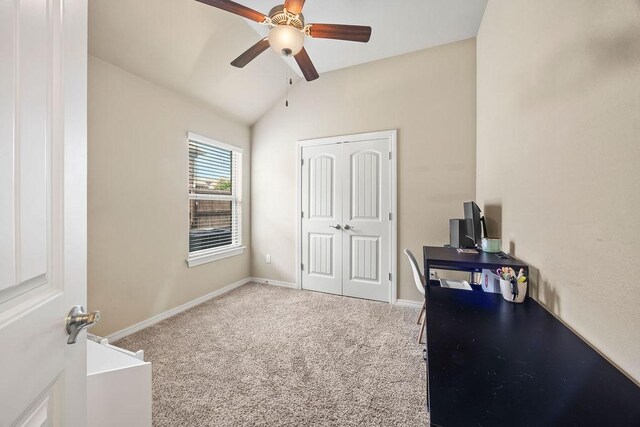 3225 N Raven Ln, Fayetteville, AR 72704 - photo 14