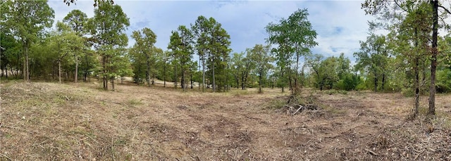 745 Riverstone St, Russellville, AR 72802 - photo 8
