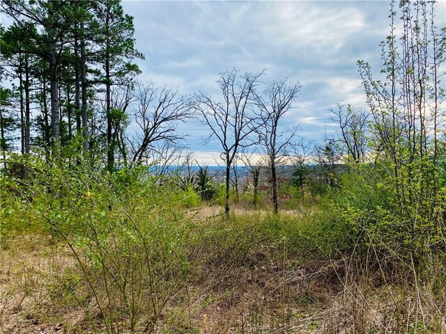 745 Riverstone St, Russellville, AR 72802 - photo 5