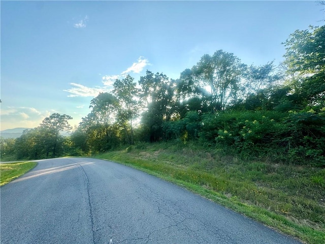 745 Riverstone St, Russellville, AR 72802 - photo 2
