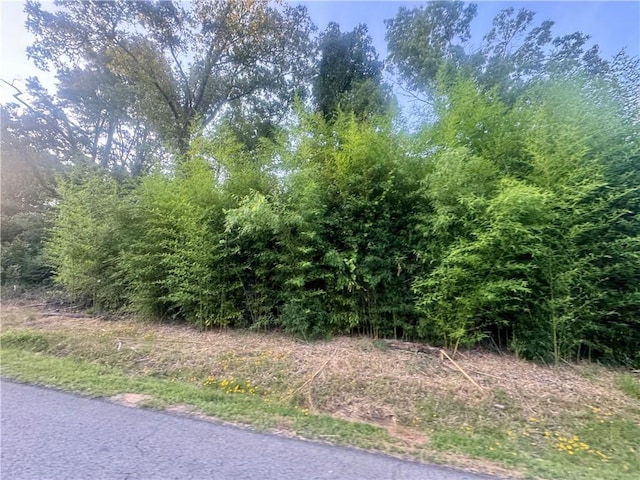 745 Riverstone St, Russellville, AR 72802 - photo 3