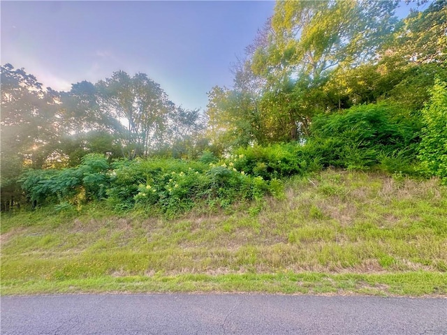 745 Riverstone St, Russellville, AR 72802 - photo 6