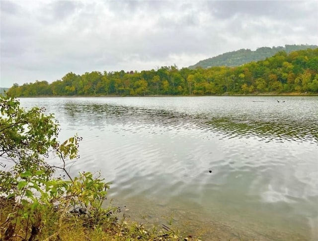 LOT8 Sailboat Dr, Holiday Island, AR 72631 - photo 1
