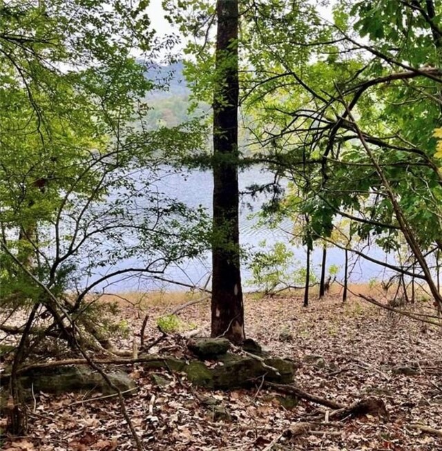 LOT8 Sailboat Dr, Holiday Island, AR 72631 - photo 6