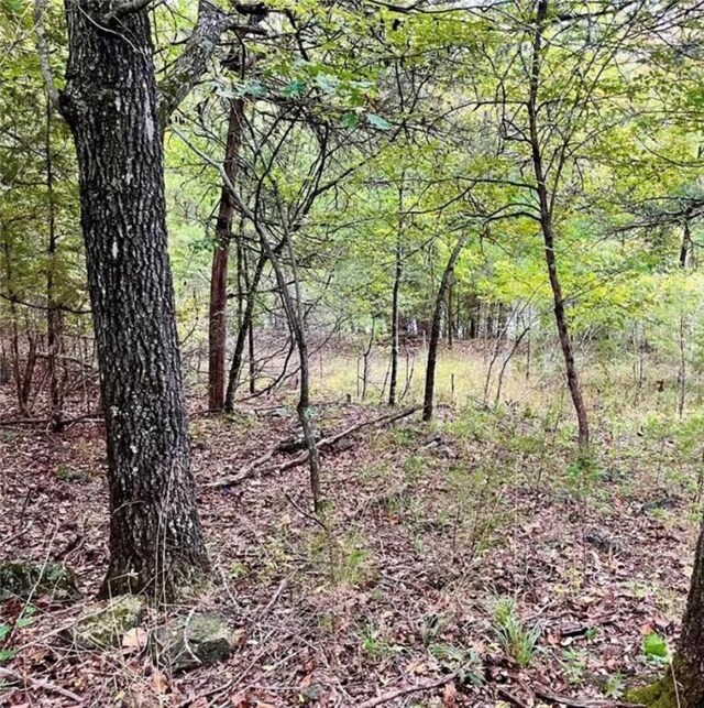 LOT8 Sailboat Dr, Holiday Island, AR 72631 - photo 7