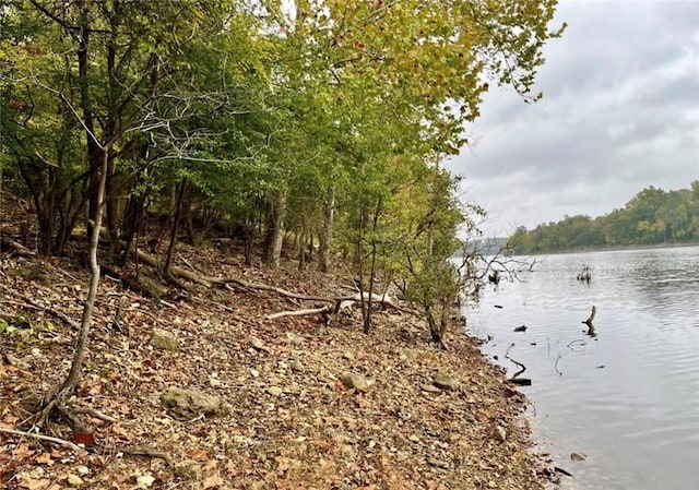 LOT8 Sailboat Dr, Holiday Island, AR 72631 - photo 8