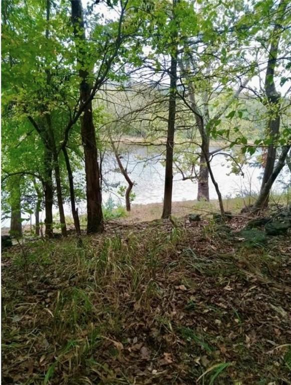 LOT8 Sailboat Dr, Holiday Island, AR 72631 - photo 15