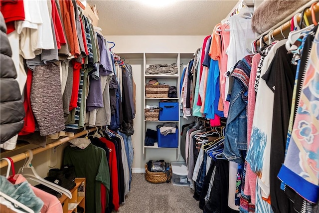 950 Nemett Cir, Pea Ridge, AR 72751 - spacious closet featuring carpet
