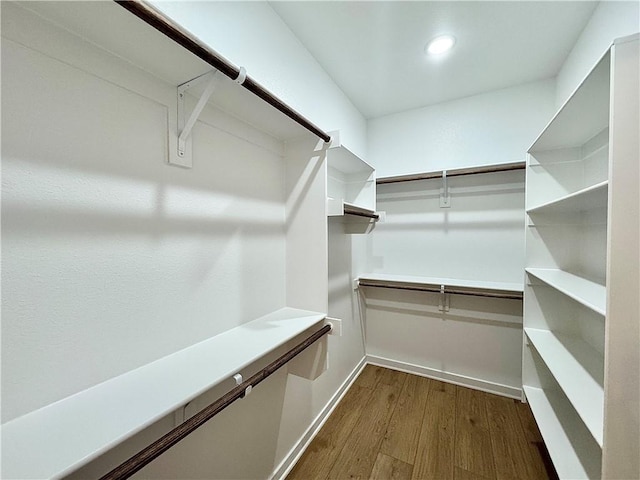 4807 SW Wakanda St, Bentonville, AR 72713 - walk in closet with dark wood finished floors