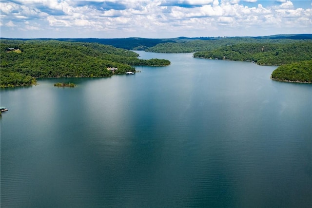 409 Hillcrest Rd, Eureka Springs, AR 72631 - water view with a heavily wooded area