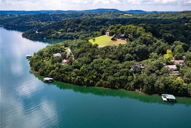 409 Hillcrest Rd, Eureka Springs, AR 72631 - bird's eye view of a nearby body of water