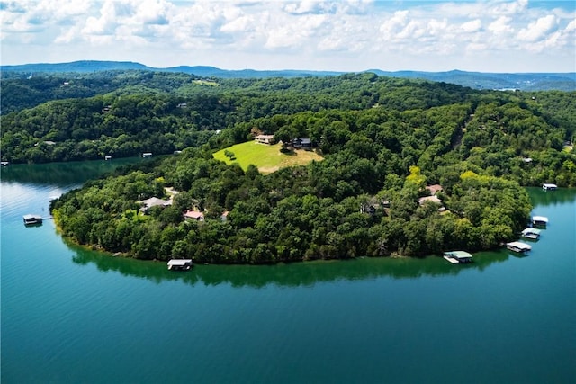 409 Hillcrest Rd, Eureka Springs, AR 72631 - drone / aerial view of a heavily wooded area and a water and mountain view
