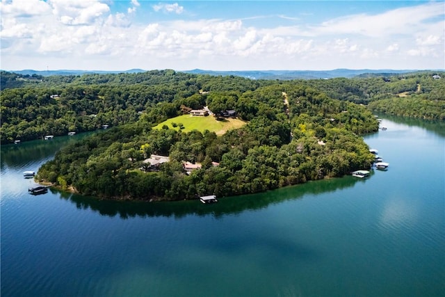 409 Hillcrest Rd, Eureka Springs, AR 72631 - drone / aerial view of a heavily wooded area