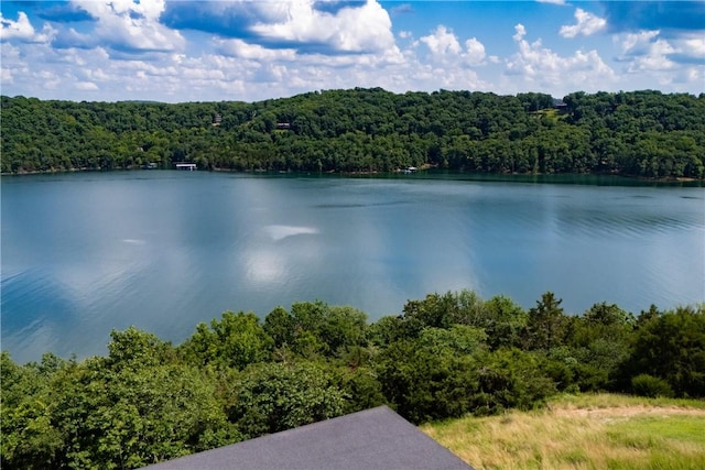 409 Hillcrest Rd, Eureka Springs, AR 72631 - water view with a forest