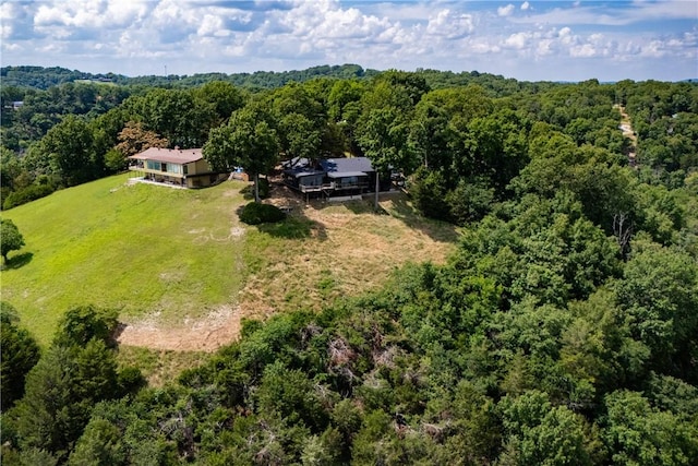 409 Hillcrest Rd, Eureka Springs, AR 72631 - photo 35