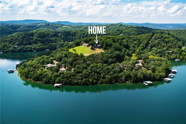 409 Hillcrest Rd, Eureka Springs, AR 72631 - bird's eye view of a heavily wooded area and a water and mountain view