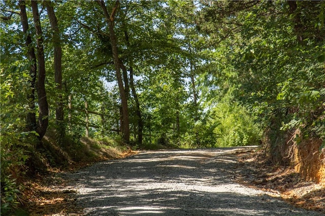 21569 Sibley Rd, Sulphur Springs, AR 72768 - view of street featuring a view of trees
