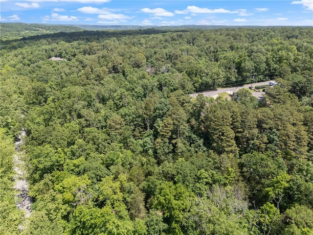 Little Dr, Bella Vista, AR 72715 - photo 5