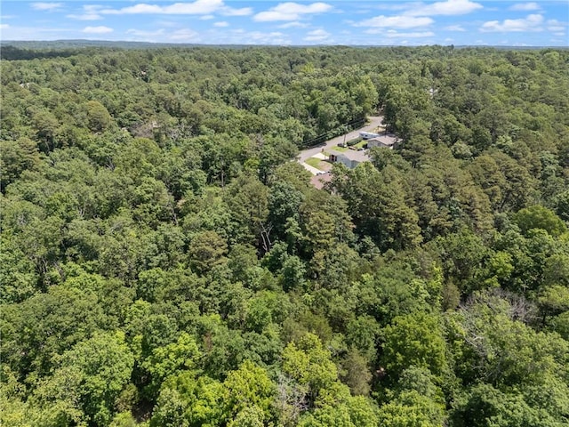 Little Dr, Bella Vista, AR 72715 - photo 6