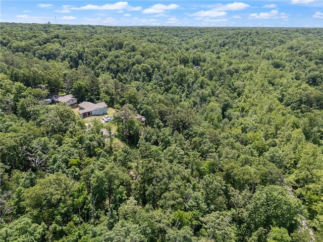 Little Dr, Bella Vista, AR 72715 - photo 7