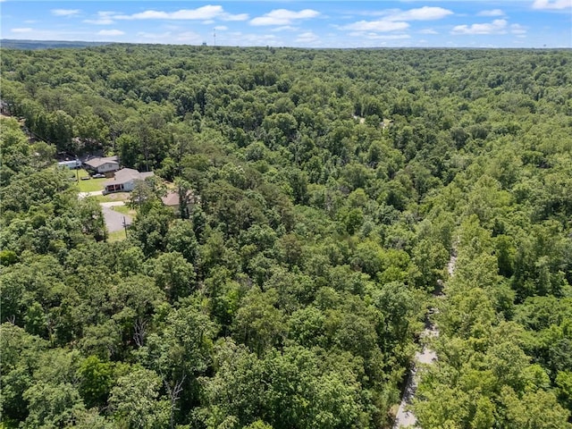 Little Dr, Bella Vista, AR 72715 - photo 8