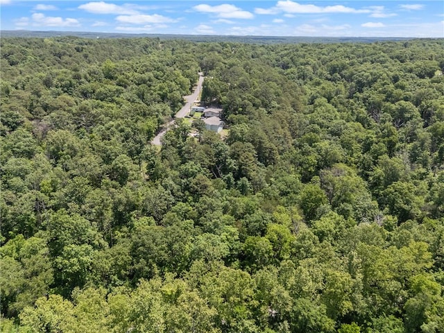 Little Dr, Bella Vista, AR 72715 - photo 9