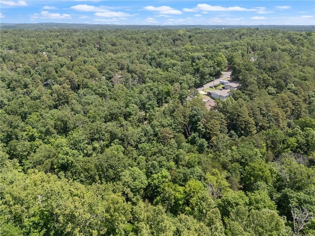Little Dr, Bella Vista, AR 72715 - photo 10
