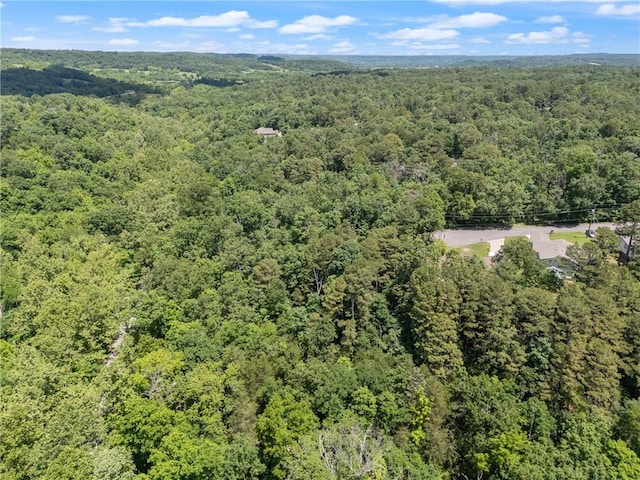 Little Dr, Bella Vista, AR 72715 - photo 11