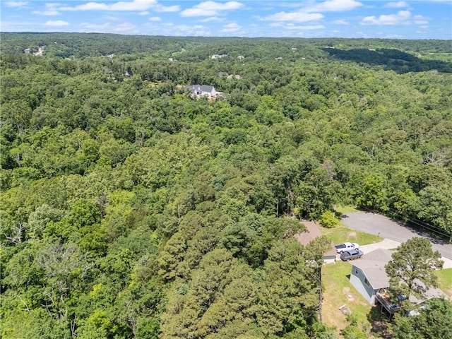 Little Dr, Bella Vista, AR 72715 - photo 12