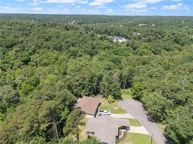Little Dr, Bella Vista, AR 72715 - photo 13